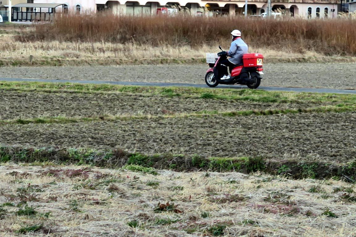 墓地資料請求・ご案内予約