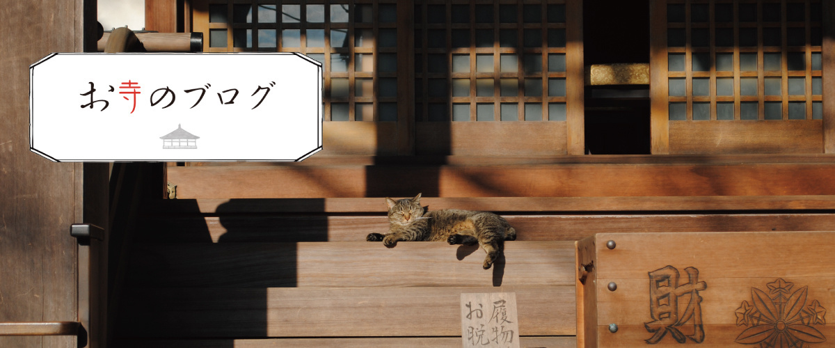 お寺のブログ